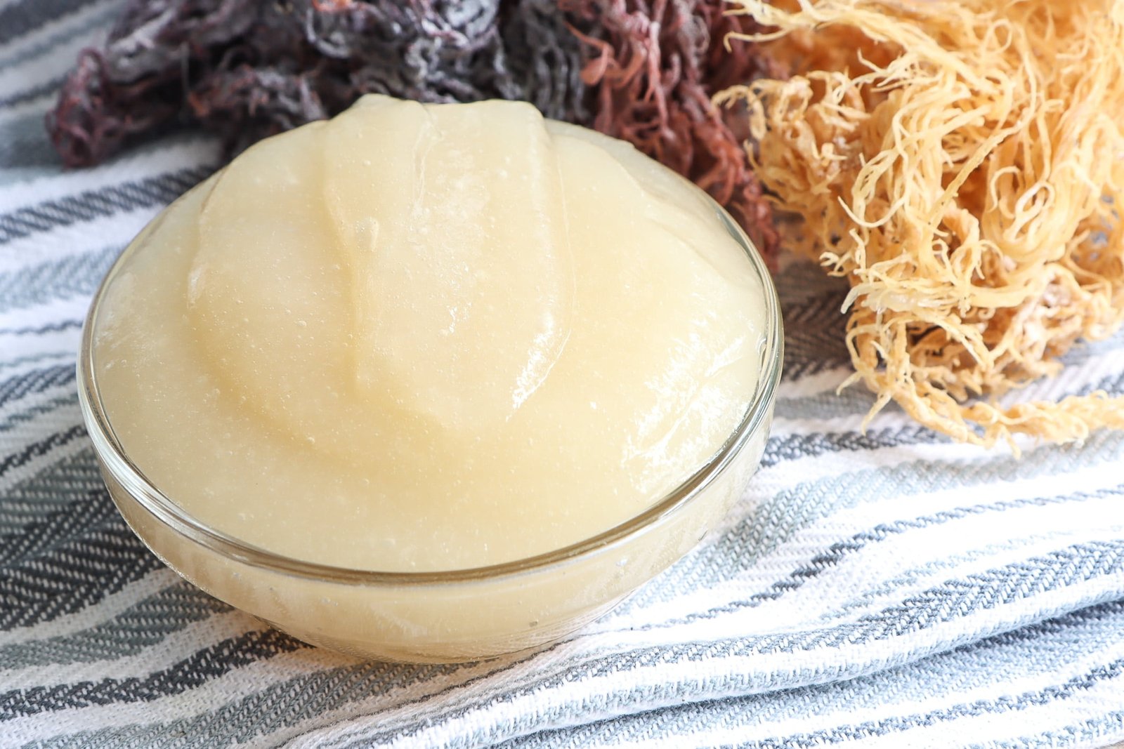 Sea Moss Gel